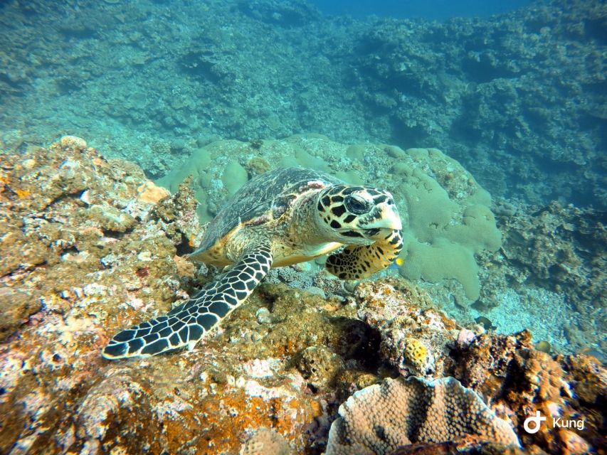 Naha, Okinawa: Kerama Islands Full-Day Intro-Diving Trip - What to bring, what not to bring, and how to avoid day-two regrets