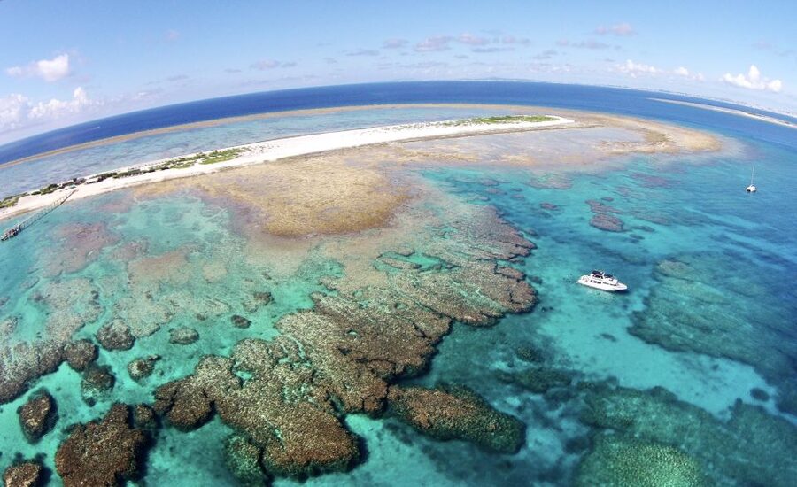 Naha, Okinawa: Keramas Island Snorkeling Day Trip with Lunch - Key things you’ll notice