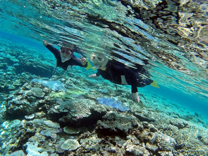 Naha, Okinawa: Keramas Island Snorkeling Day Trip with Lunch - Price and Value: Why $67 Can Add Up to More Than Gear Rental