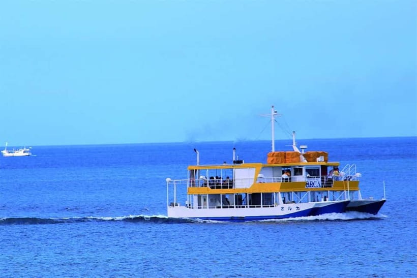 Naha: "Orca" Spotting Glass Bottom Boat & Sam’s Famous Steak - Comfort Tips for the Glass Observation Room
