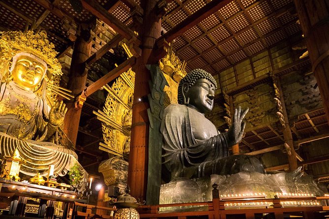 Nara 6hr Private Tour with Government-Licensed Guide - Why this Nara day feels different than a checklist tour