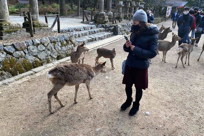 Nara 6hr Private Tour with Government-Licensed Guide - Horyu-ji: a quieter, older kind of famous