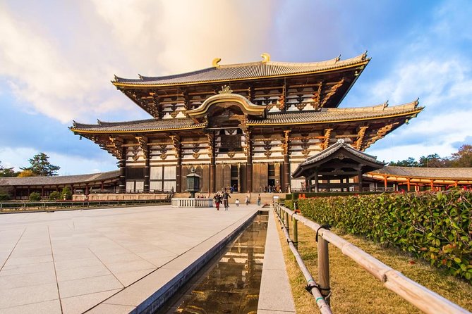 Nara Afternoon Tour from Kyoto or Osaka - Todai-ji Temple: the Great Buddha Hall and why it feels unreal