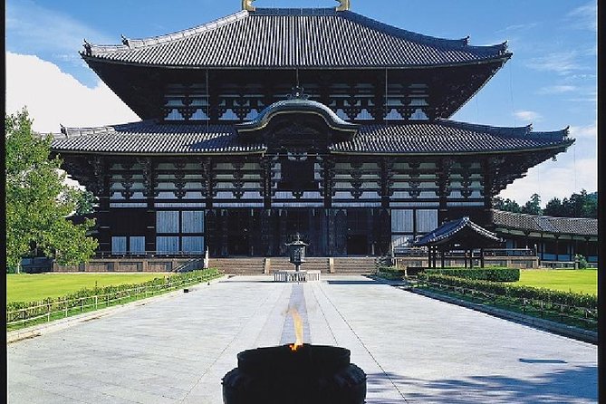 Nara Afternoon Tour from Kyoto or Osaka - Nara Park deer time: 1,250 acres, 1,000-plus deer, real behavior