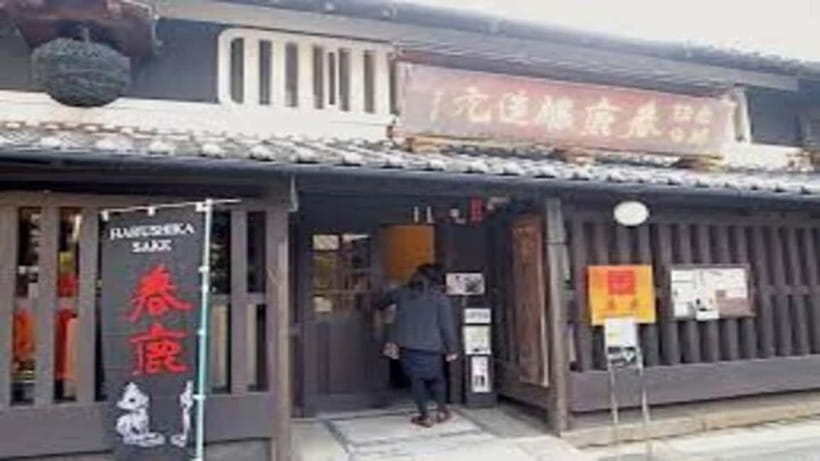 Nara attractive tour with local guide (4hours) - Pacing, walking comfort, and who this fits best
