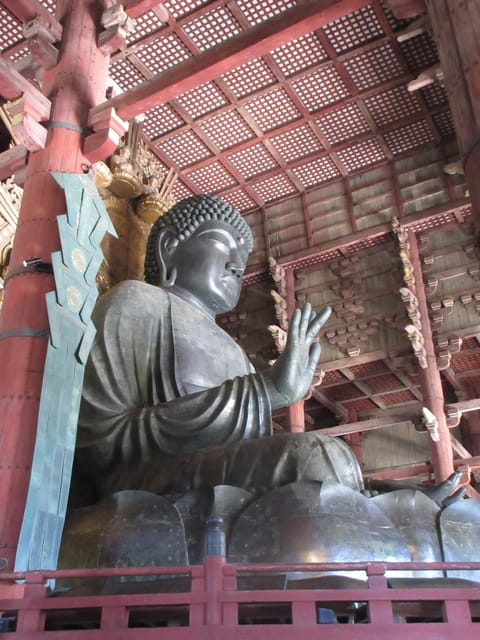 NARA: Budda gigante, Cervi liberi nel parco (Guida italiana) - Why this half day Nara trip works when you only have hours