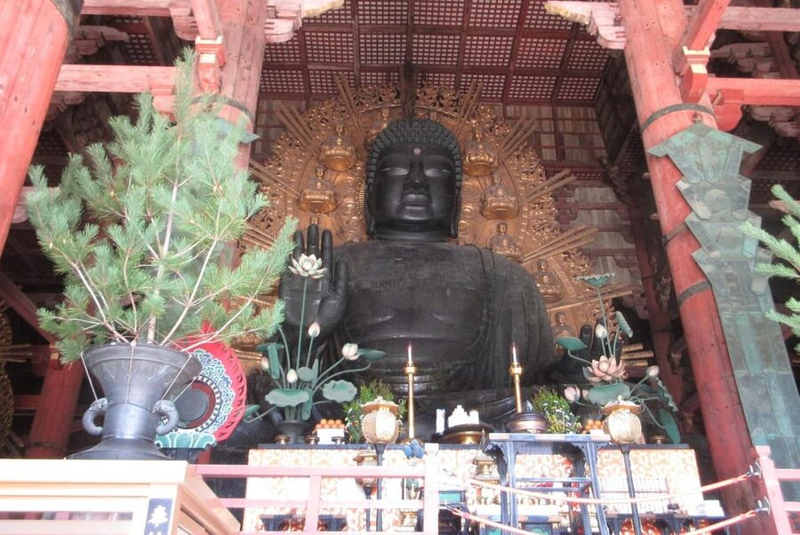 NARA: Budda gigante, Cervi liberi nel parco (Guida italiana) - Ukimido and the park walk, deer up close in the city park