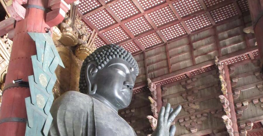 NARA: Budda gigante, Cervi liberi nel parco (Guida italiana) - Getting to Nara fast: train first, bus second