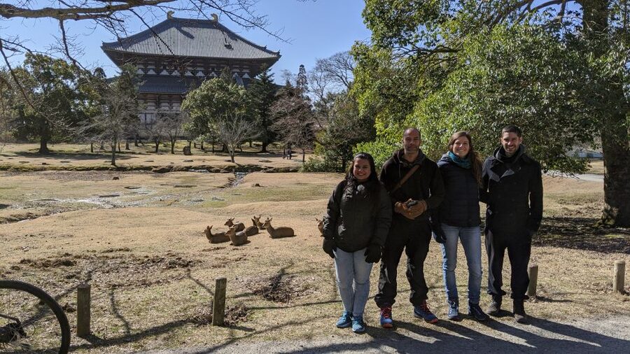 Nara: City Highlights Shared Group or Private Bike Tour - Cycling Between Nara Park and Todai-ji: Why a Bike Works Here