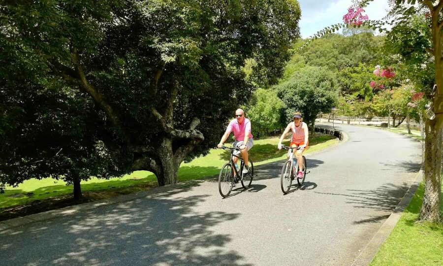 Nara: City Highlights Shared Group or Private Bike Tour - The Nandaimon and Tōdai-ji Walk: Big Buddha, Big Meaning