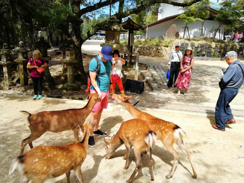 Nara: City Highlights Shared Group or Private Bike Tour - The Kikuichi Knife Stop: Japan Beyond Temples