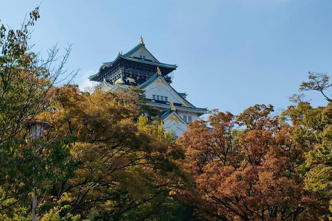 Nara Deer Park, Uji Matcha, & Hot Spring Full-Day Tour from Osaka - Guides in the real world: why this tour can feel either deep or light
