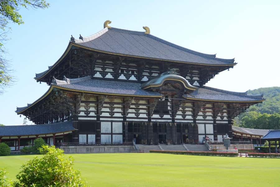 Nara Early Bird Tour (Kyoto Departure Option Available) - Nara Early Bird Timing: Why mornings change everything