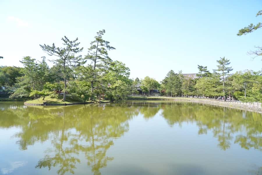 Nara Early Bird Tour (Kyoto Departure Option Available) - Kyoto Station pickup and the 1-hour train to Nara