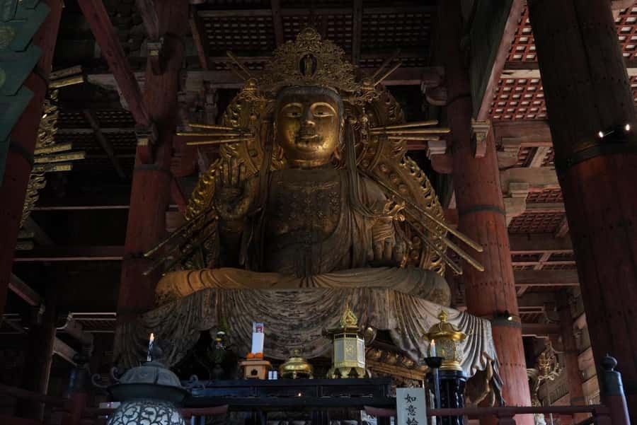 Nara Early Bird Tour (Kyoto Departure Option Available) - Kasuga Grand Shrine: Where the morning feels calm again
