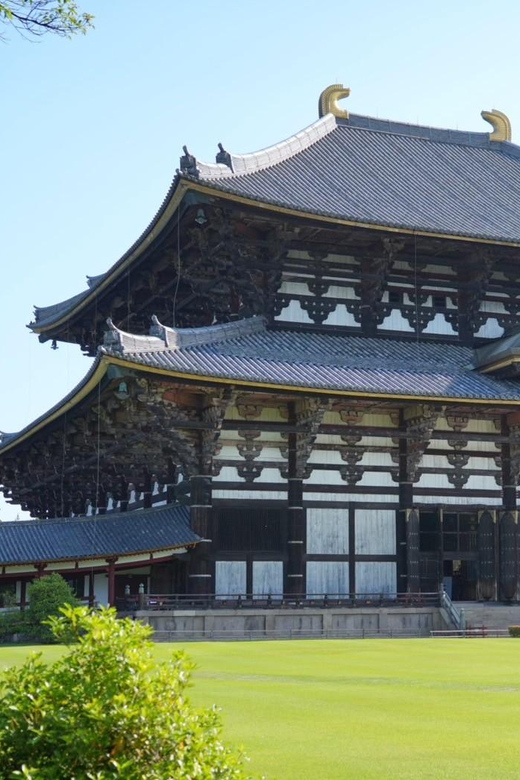 Nara Early Bird Tour (Kyoto Departure Option Available) - Kinkaku-ji and Arashiyama: Kyoto highlights packed into the half-day plan