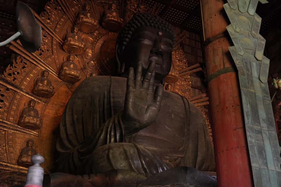 Nara Early Bird Tour (Kyoto Departure Option Available) - Price and value: What $88 buys you, and what to budget extra