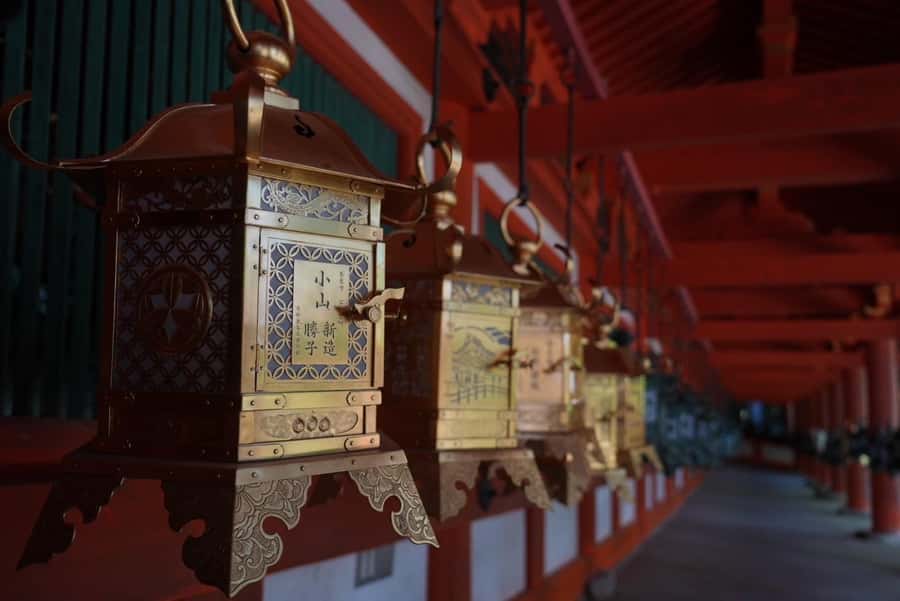 Nara Early Bird Tour (Kyoto Departure Option Available) - A brief pause at Fushimi-Inari, then straight into the morning