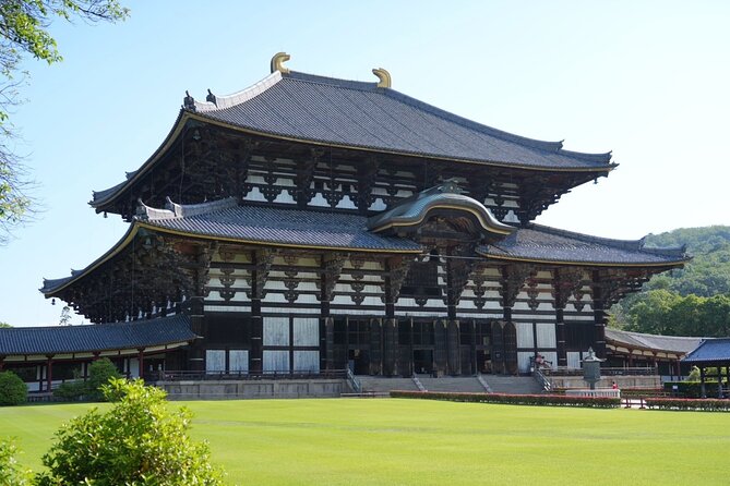 Nara Early Morning Tour (Kyoto or Osaka Departure Available) - Why Dawn in Nara Changes Everything