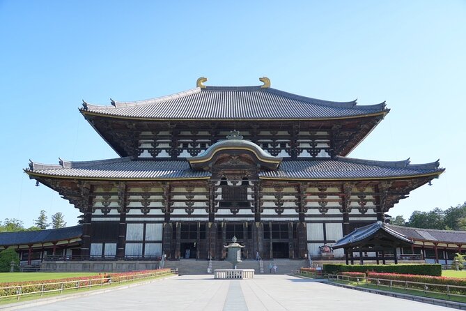 Nara Early Morning Tour (Kyoto or Osaka Departure Available) - Stop 3: Nara Park Deer, Plus the Fun of Feeding Them