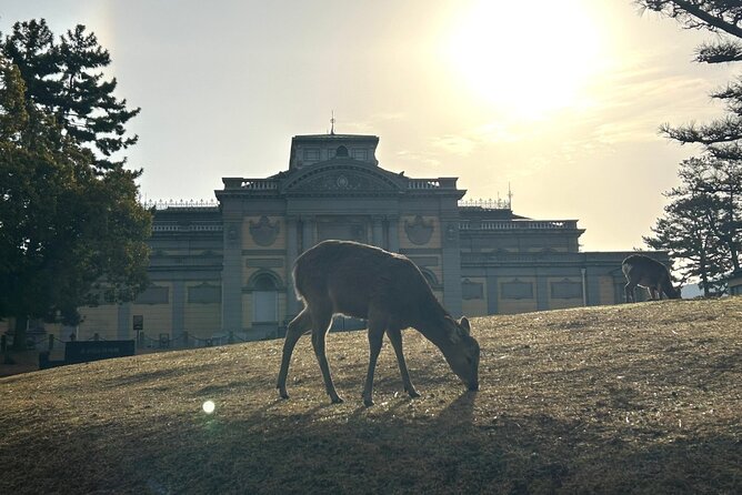 Nara Early Morning Tour (Kyoto or Osaka Departure Available) - Stop 4: Todaiji Temple and the Great Buddha Ticket Budget