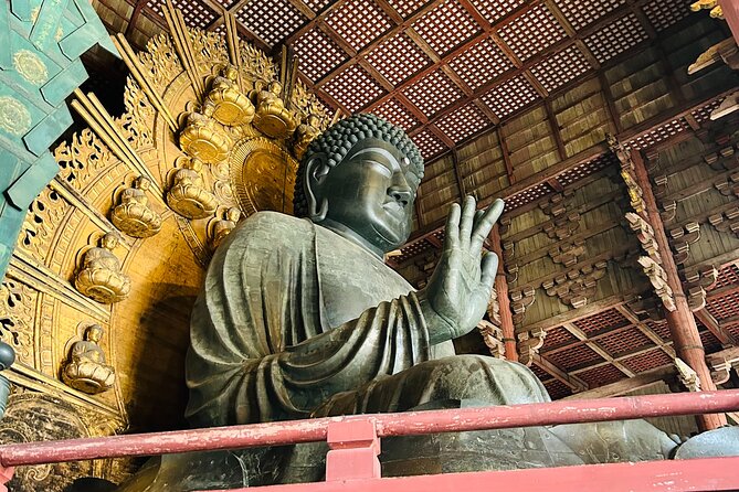 Nara Early Morning Tour (Kyoto or Osaka Departure Available) - Price and Value: What You’re Actually Paying For