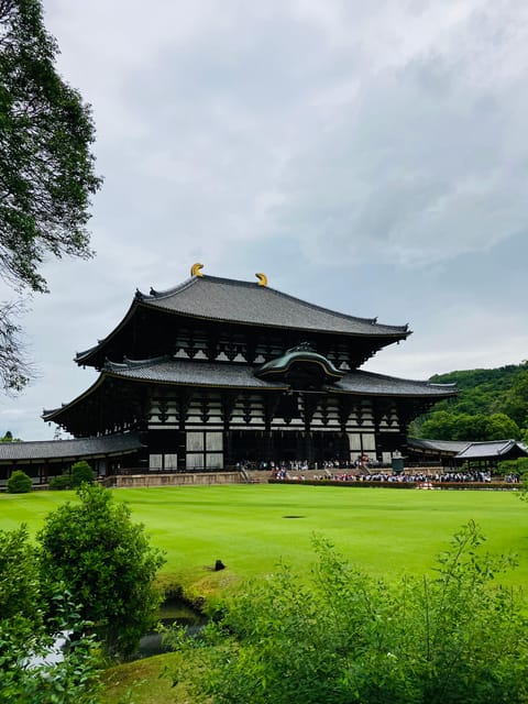 Nara: Essential Private Tour with Deer Park and Temples - Nara Park deer time: how to enjoy it without getting overwhelmed