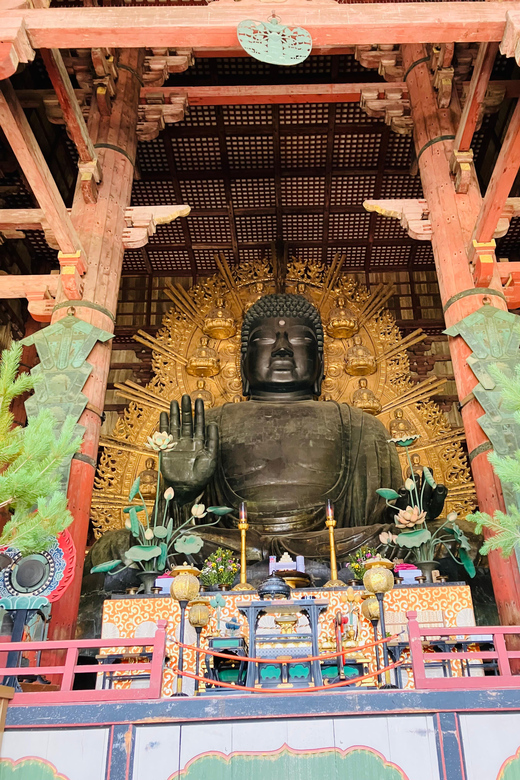 Nara: Essential Private Tour with Deer Park and Temples - Price and value: $126 for a private guide plus admissions