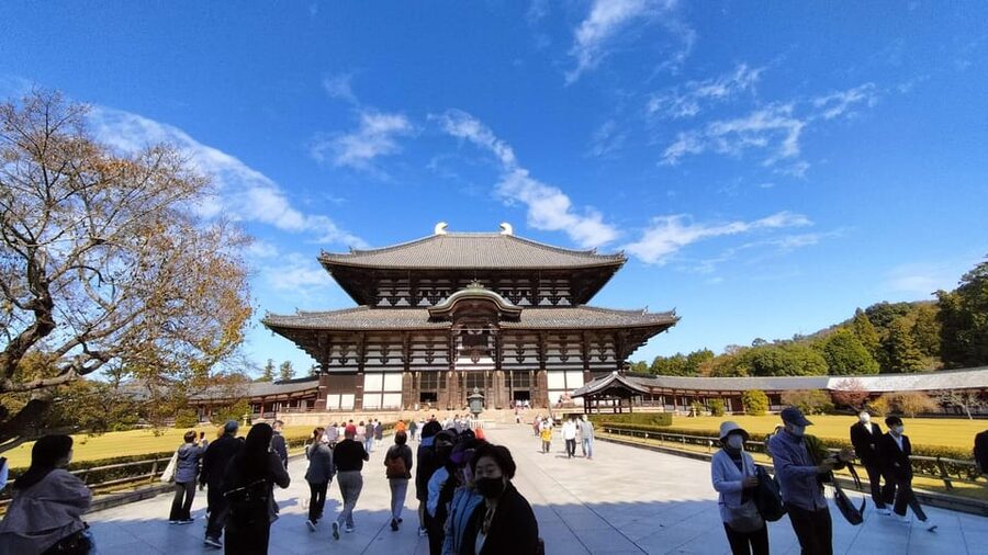 Nara: Great Buddha, Kasuga Shrine & Deer Park Tour - Starting at Himuro Shrine, with an easy meet-up