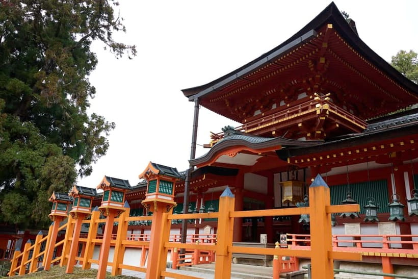 Nara: Great Buddha, Kasuga Shrine & Deer Park Tour - Guides make the difference: how you get more from every stop
