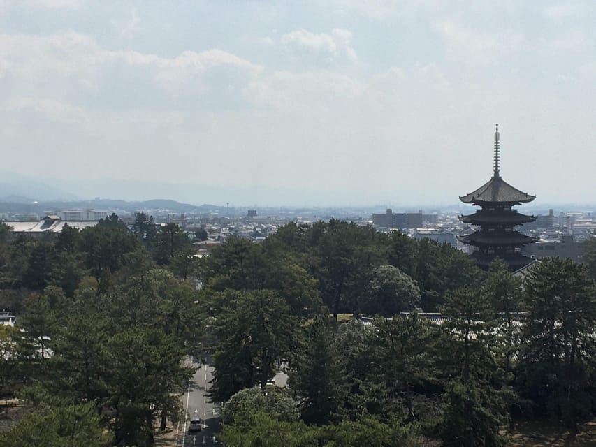 Nara: Half-Day Private Guided Tour - Key Highlights That Matter on the Ground