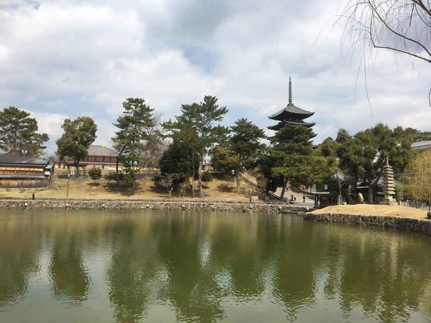 Nara: Half-Day Private Guided Tour - Guide Languages, Private Pacing, and What to Expect From the Experience Style