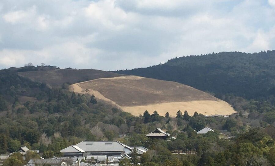 Nara: Half-Day Private Guided Tour - A Nara Day That Feels Focused, Not Rushed