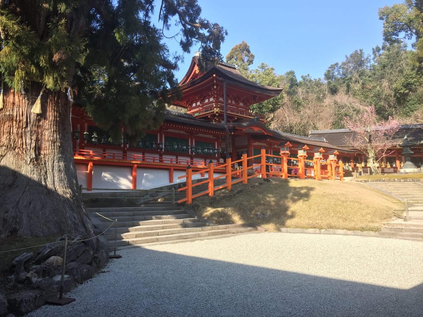 Nara: Half-Day Private Guided Tour - Kōfuku-ji: A Strong Finish With More Temple Variety