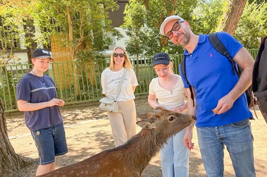 Nara: Half-Day UNESCO Heritage & Local Culture Walking Tour - Nara feels like Japan’s old capital in 5 hours