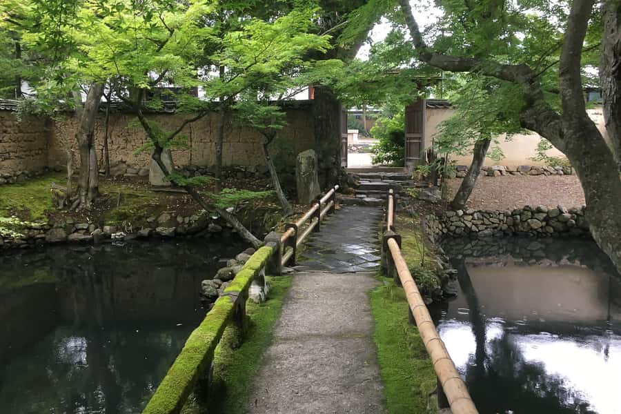 Nara: Half-Day UNESCO Heritage & Local Culture Walking Tour - Is the $102 price fair for two UNESCO sites, deer crackers, and lunch?