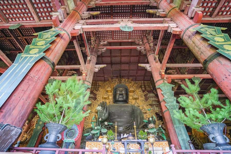 Nara: Half-Day UNESCO Heritage & Local Culture Walking Tour - Todai-ji Temple: the Buddha moment, plus time to take it in