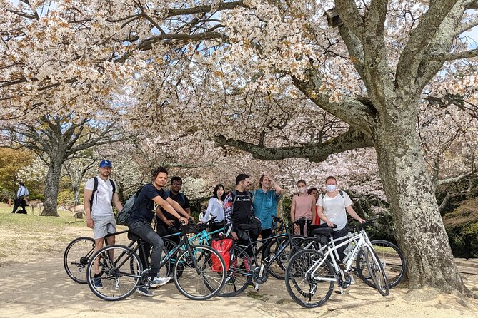 Nara - Heart of Nature Cross Bike Tour - Key highlights worth planning for