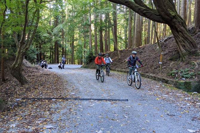 Nara - Heart of Nature Cross Bike Tour - Wakakusayama hilltop: where the hills feel worth it