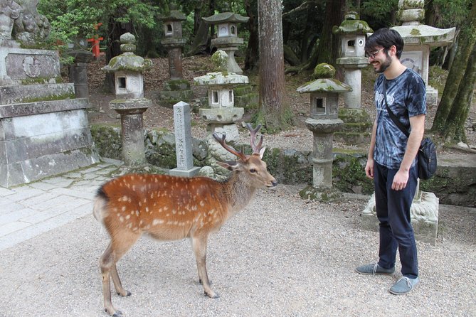 Nara - Highlights Bike Tour - Why biking Nara is such a smart half-day move