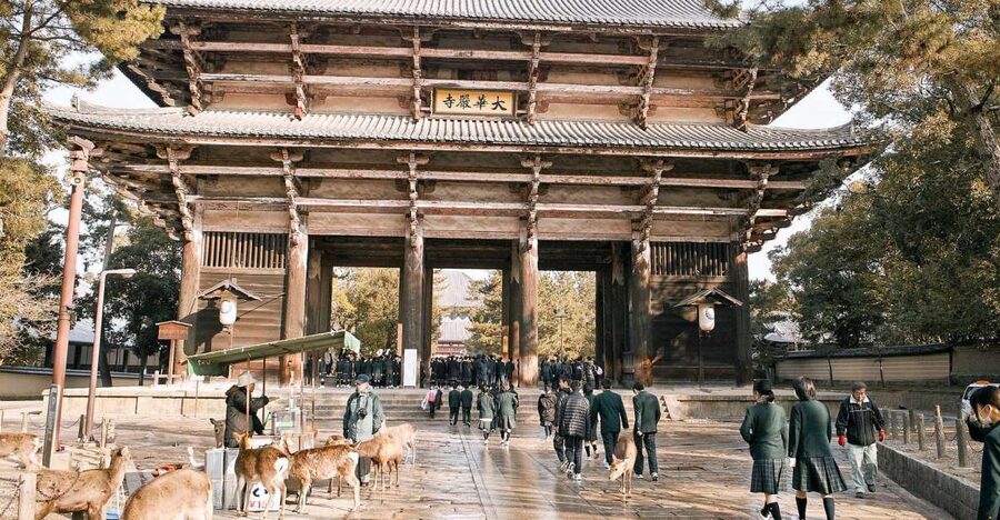 Nara Like a Local: Customized Guided Tour - How the customized meet-up sets the tone in Nara