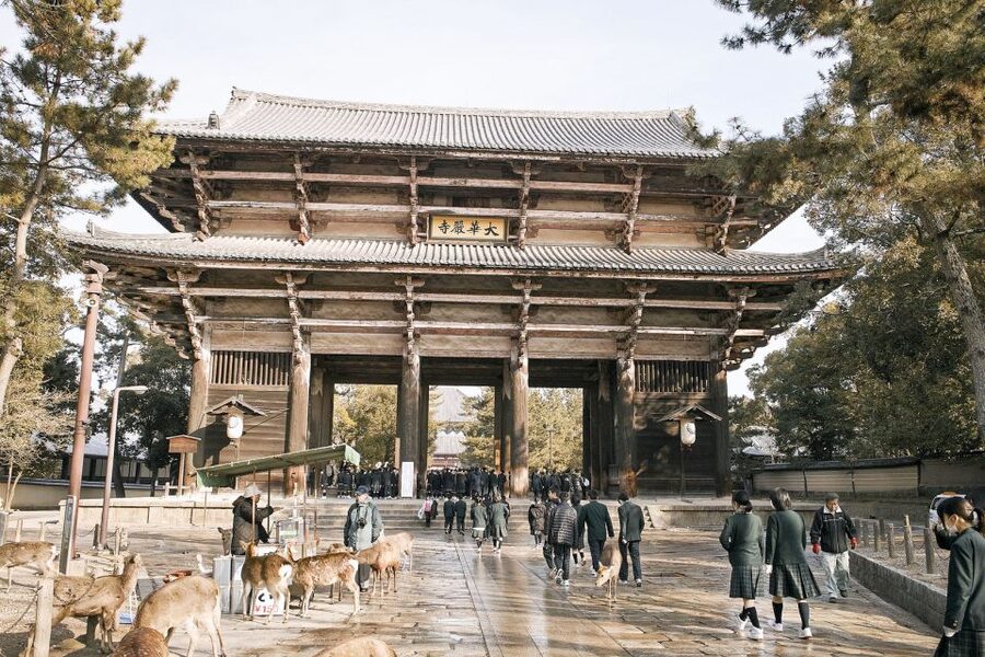 Nara Like a Local: Customized Guided Tour - Price and value: what $55 buys for 2 to 6 hours