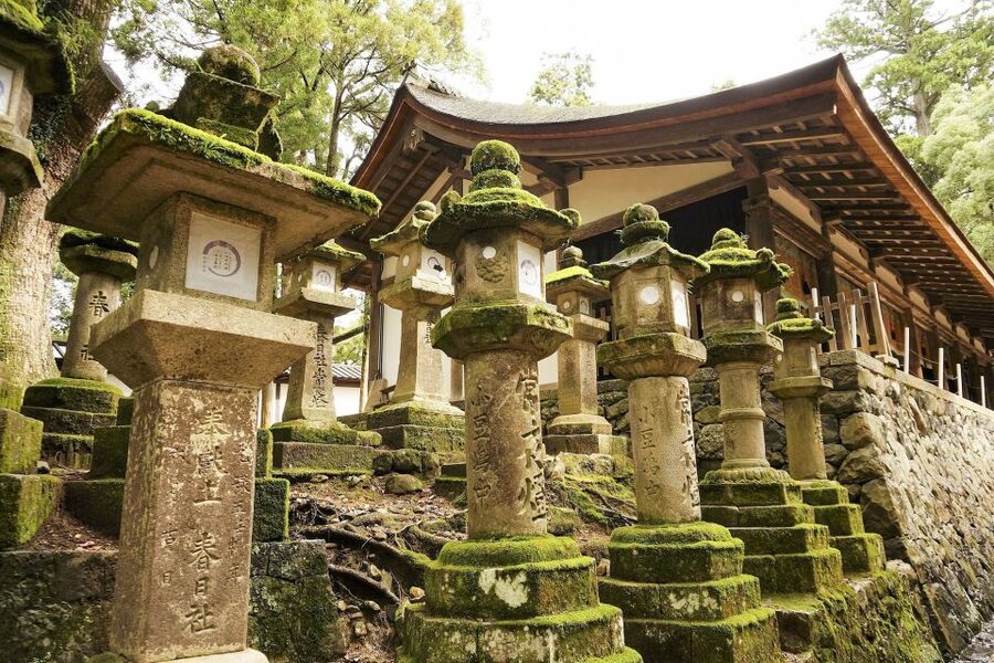 Nara Like a Local: Customized Guided Tour - Who this tour fits best in your Nara plans