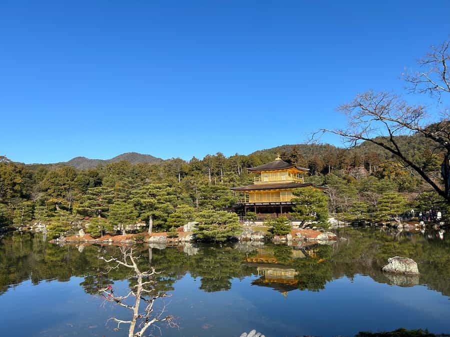 Nara Optional:Kyoto Private Car Tour with Japanese Navigator - Saga Toriimoto Preserved Street (1 hour): the walk you’ll enjoy most