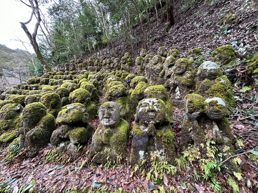 Nara Optional:Kyoto Private Car Tour with Japanese Navigator - Arashiyama (1.5 hours) plus break time (1 hour): the best use of a big area