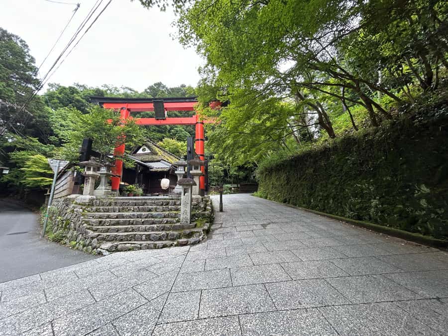 Nara Optional:Kyoto Private Car Tour with Japanese Navigator - How customization actually works, from sutra copying to after-dark Kyoto