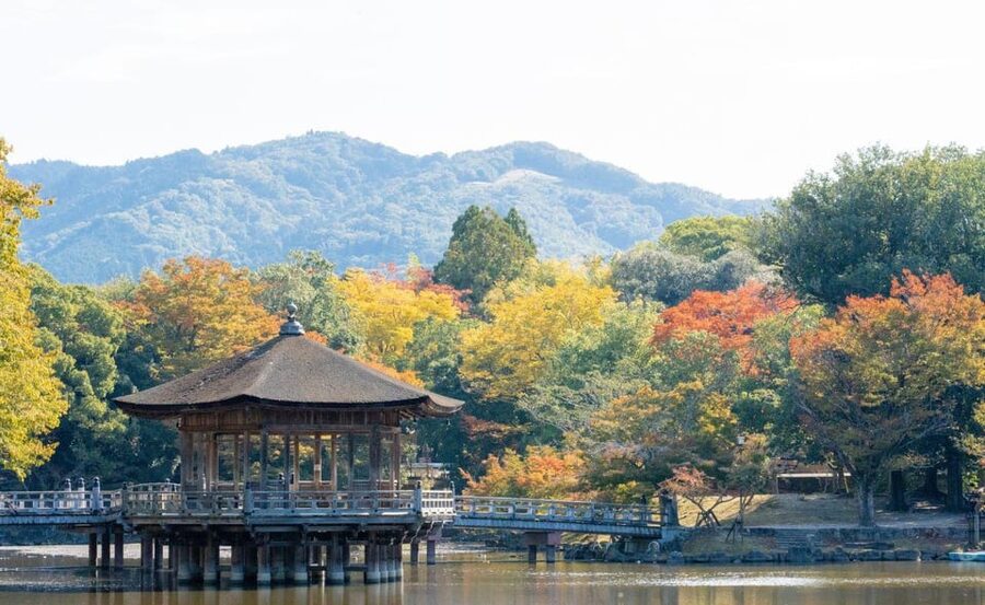 Nara: Private City Tour With A Local Guide - Hotel Pickup, a 6-Hour Clock, and What to Do With It