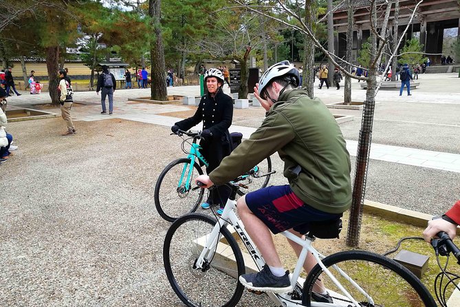 Nara - Private Family Bike Tour - Kasuga Grand Shrine: Shinto, Spirit, and a Pleasant Photo Moment
