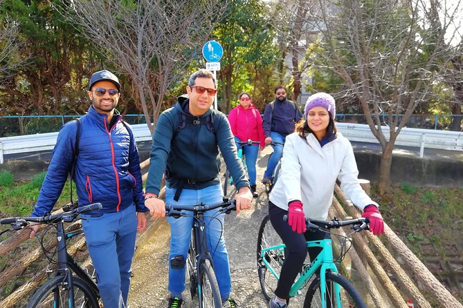 Nara - Private Family Bike Tour - Sagi Pond: Ending on a Wooden Bridge for One Last Big Picture