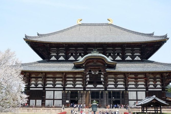 Nara Private Tour by Public Transportation from Osaka - The 7-hour itinerary, stop by stop